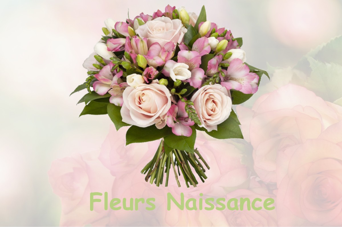 fleurs naissance DUCY-SAINTE-MARGUERITE